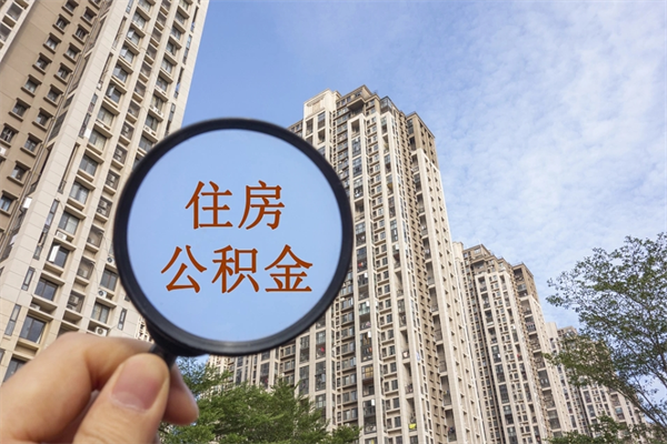 日照2万公积金余额能贷款多少（日照2万块钱公积金可以贷款多少）